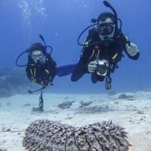 Meet your Posher, Cameron